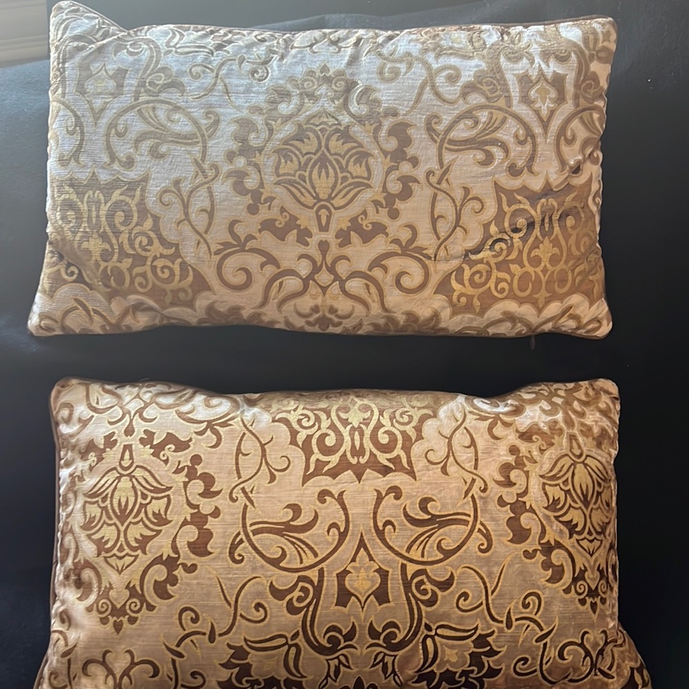 Studio chic velvet throw pillows set of 2
